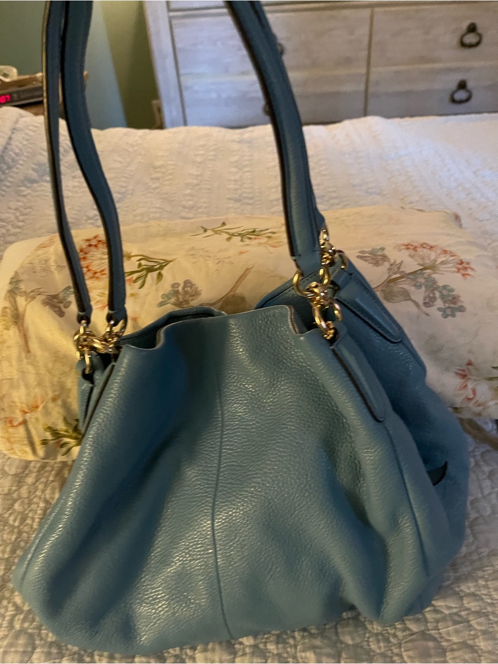 Pebble leather Coach bag